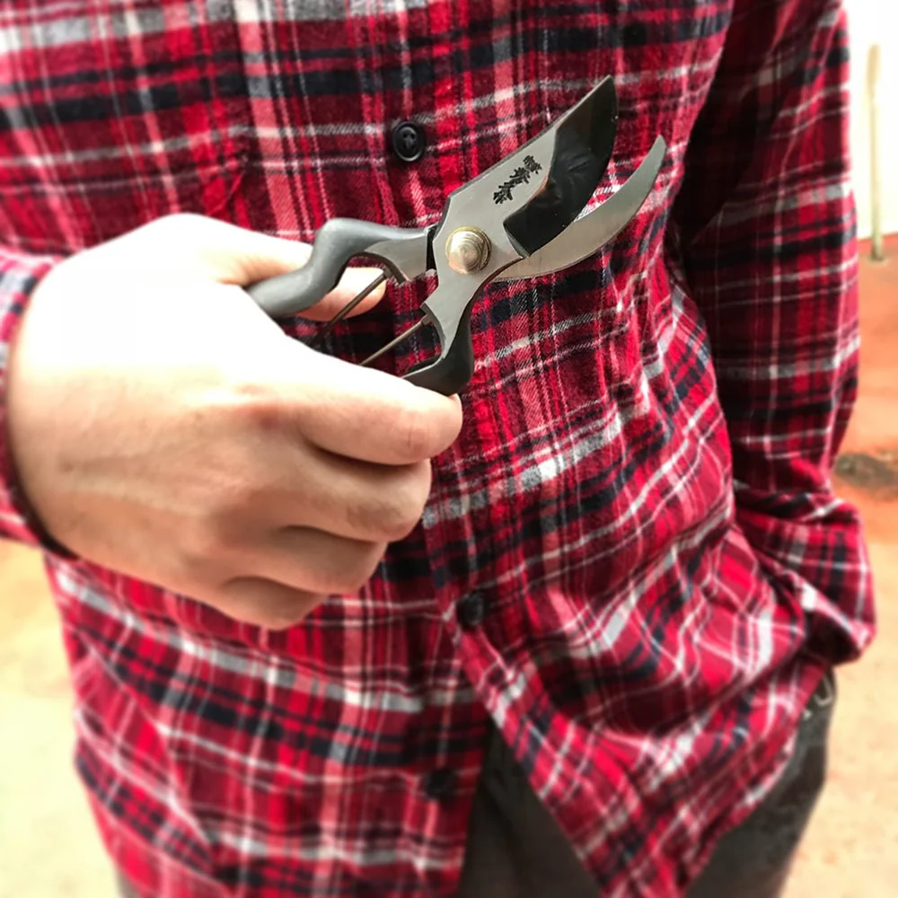 Hidehisa Carbon Steel Garden Pruners — BB200Y - Image 5