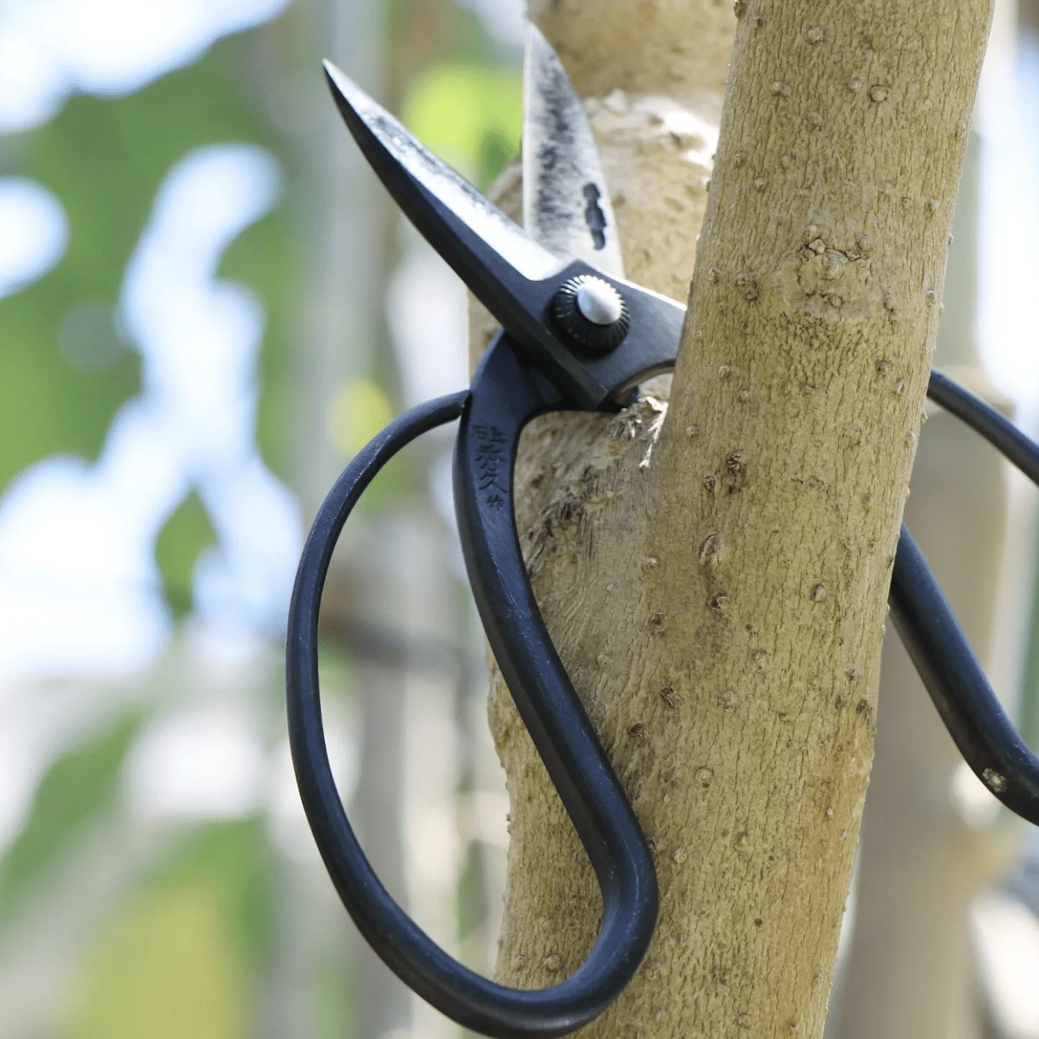 Hidehisa Carbon Steel Ikebana Shears — T-9 - Image 6