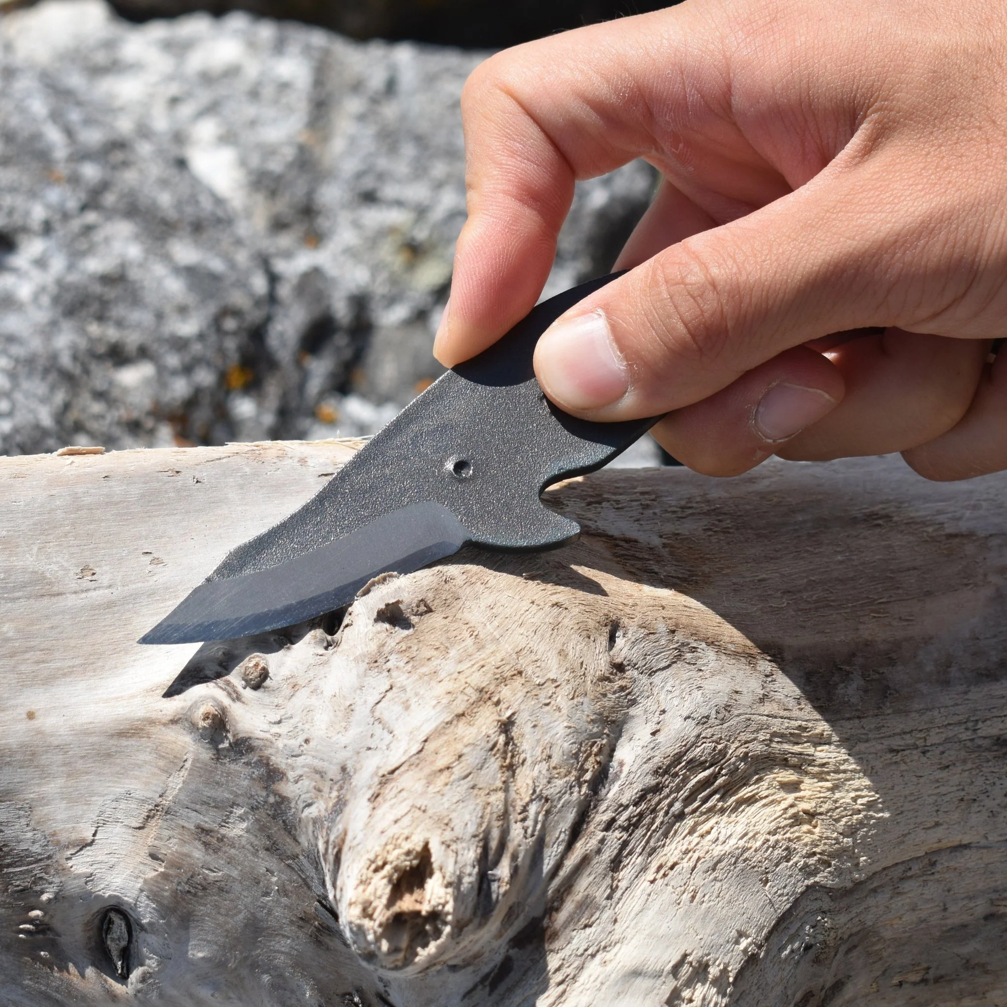 Tosa Minke Whale Knife (Curved Handle) - Image 2