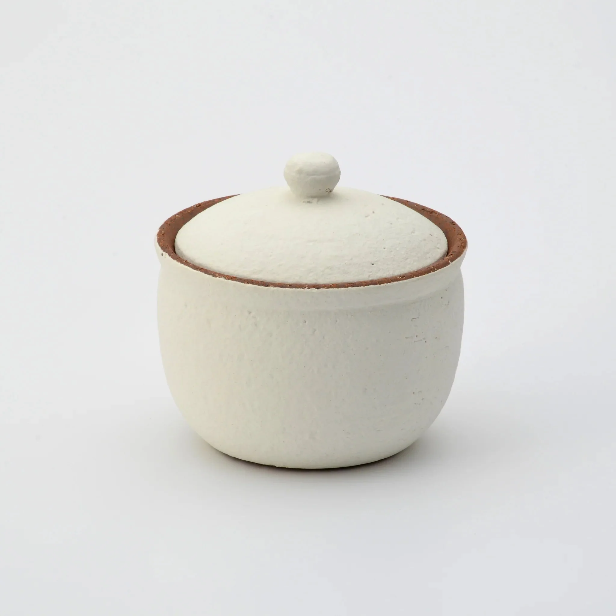 Shigaraki Salt Pot (L) - Image 4